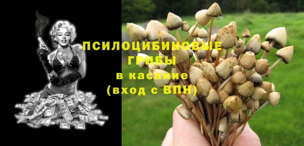 a pvp Арсеньев